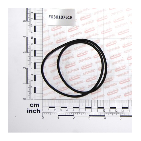 Oring 171.04x3.53 Maschio - F03010761
