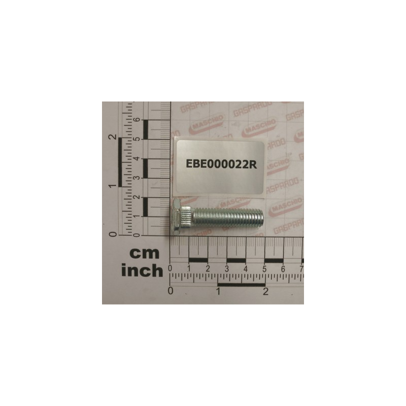 Parafuso M10x38 Maschio - EBE000022