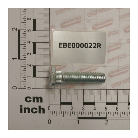Parafuso M10x38 Maschio - EBE000022